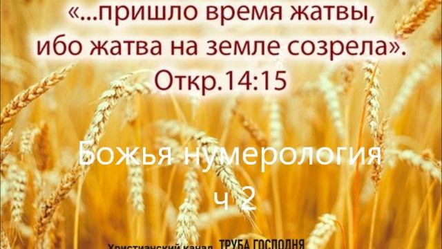 Божья нумерология ч 2 смотреть онлайн