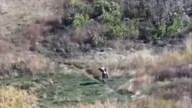 В ДНР боец нёс раненого товарища 2,5 километра под огнём и получил представление к ордену Мужества смотреть онлайн