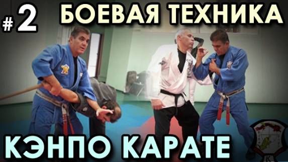 Боевая механика Кэнпо-Карате: техника синего пояса – 2.