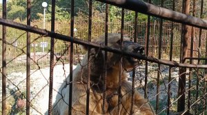 ОХ И ТИМОФЕЙ! В ХАДЖОХСКОЙ ТЕСНИНЕ