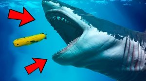 НАШЁЛ САМОГО ДРЕВНЕГО МЕГАЛОДОНА в МИРЕ! ПОИСКИ МОНСТРОВ В  GTA ONLINE