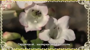 ПОЛЬ МОРИА - МАМА