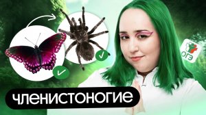 💪ЧЛЕНИСТОНОГИЕ｜ОГЭ по биологии 2026