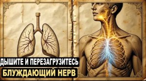 ОТКРЫТЫЙ ЗАПРЕТ Секрет блуждающего нерва, который мгновенно успокаивает ум и исцеляет тело