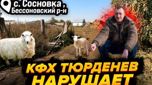 ПОЧЕМУ  КФХ ТЮРДЕНЕВ СИСТЕМАТИЧЕСКИ НАРУШАЕТ ЗАКОН? // с. Сосновка, Бессоновский район