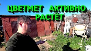 Цветмет и серебро растут в цене! Открыл новый сезон металлосбора!