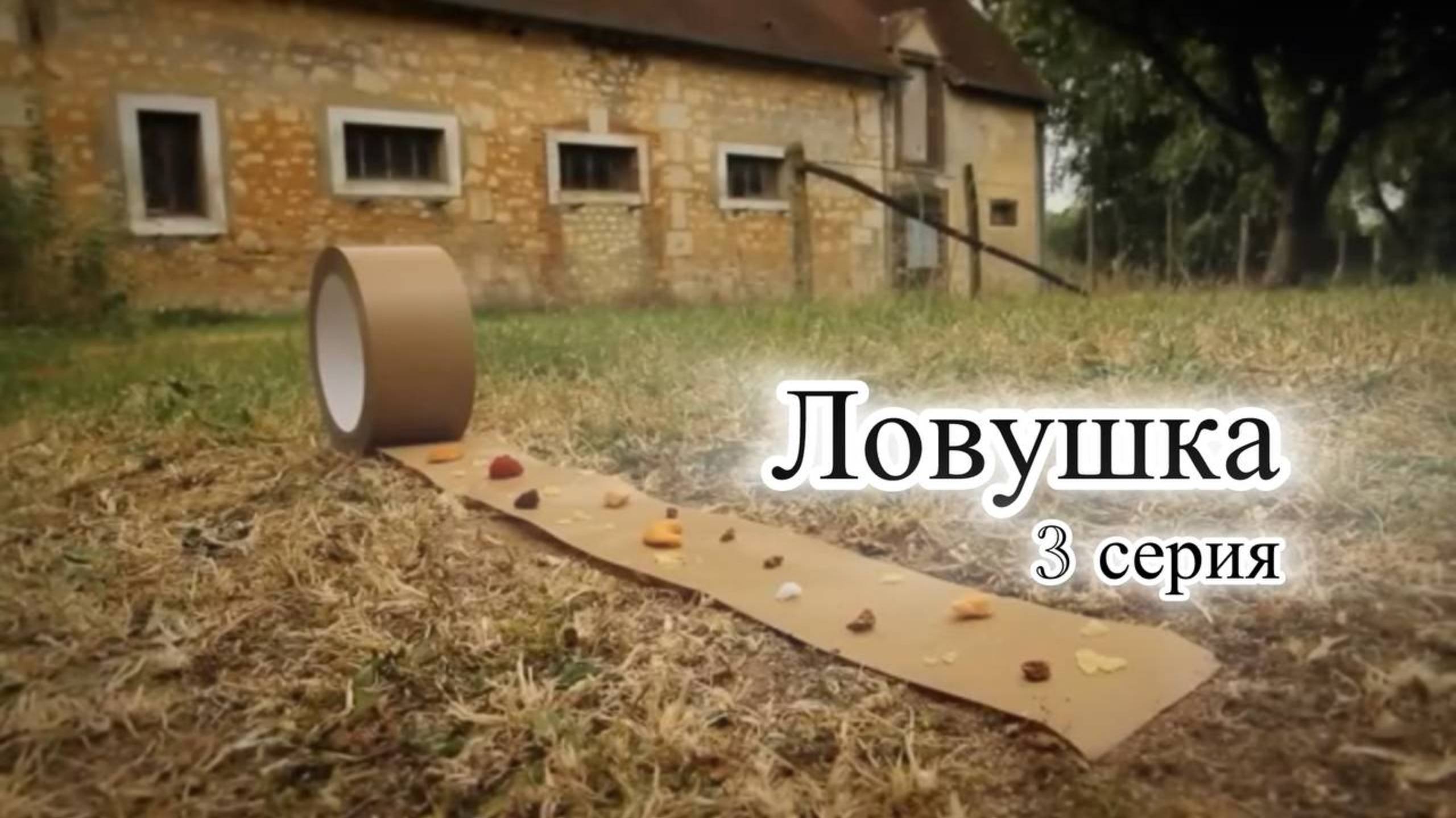 Мультик Насекомые. Ловушка. 3 серия