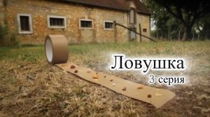 Мультик Насекомые. Ловушка. 3 серия