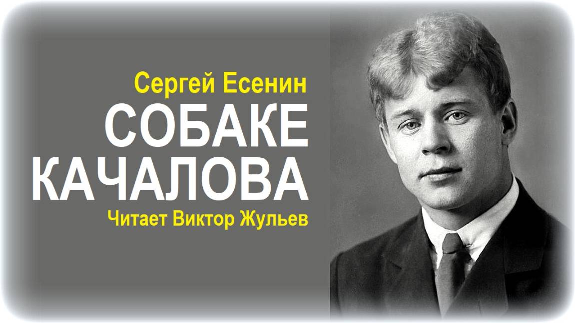 Стихотворение «СОБАКЕ КАЧАЛОВА». Сергей Есенин смотреть онлайн