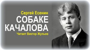Стихотворение «СОБАКЕ КАЧАЛОВА». Сергей Есенин