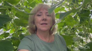 Домашние дела//🤗💁❤️