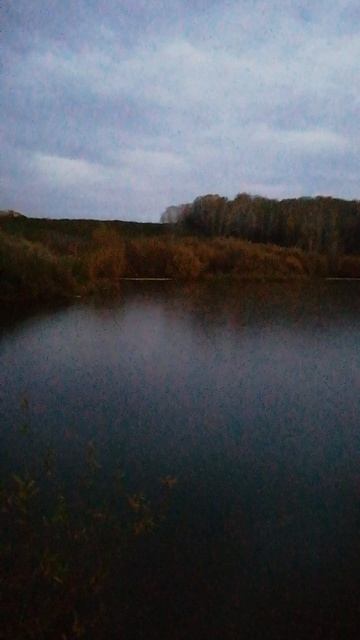 Рыбалка на дельфинов!!!