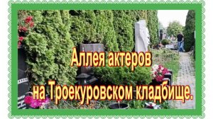 Аллея актеров на Троекуровском кладбище. 6й участок, 9 й и 8 ряд