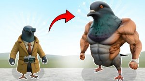 Я создал итальянский мем muscle spiuniro golubiro в garry's mod