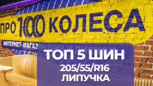 ТОП 5 зимних липучек (фрикционки) 205/55 R16 в зимнем сезоне 2025/2026 от магазина ПростоКолеса.РФ