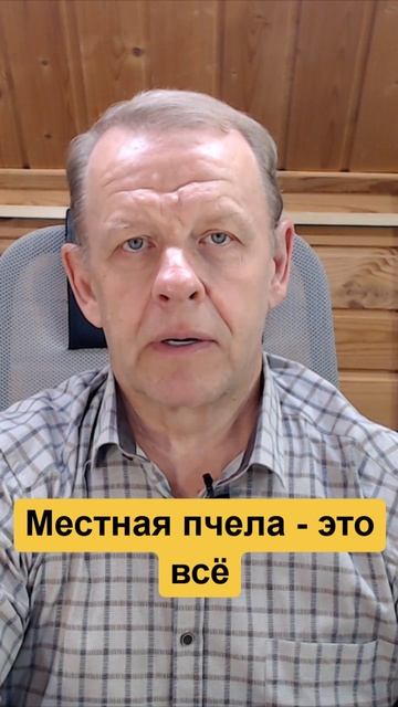 Местная пчела путь к успеху вашей естественной разумной пасеки смотреть онлайн