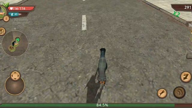 Dog Sim симулятор собаки🐕🦺