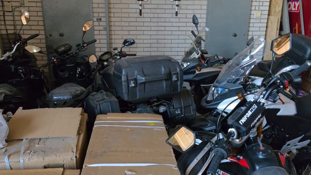 Отправка Гюрза М12 Донецк Ростовская обл. т89612934363 с 10.00 до 20.00 смотреть онлайн