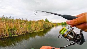 ТУТ РЫБА НЕ СТЕСНЯЕТСЯ РАЗМЕРА приманки. ДУШЕВНАЯ Рыбалка в ГОСТЯХ В 2025