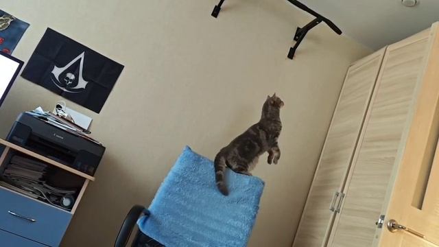 попытка номер два