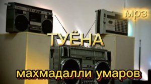 туёна махмадали умаров мрз