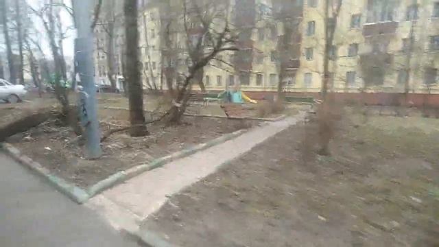 Т. Манул - рассказываю о себе