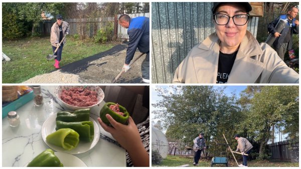 🤪ШО Я КУПИЛА😂ПЕРЕКИДАЛИ ТРИ ТОННЫ ЗЕМЛИ И ПГС/ ПОКУПКИ ДЛЯ🏡ДАЧИ