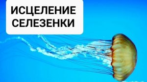 ИСЦЕЛЕНИЕ СЕЛЕЗЕНКИ*Мощный Саблиминал, усиленный Бинауральными Ритмами*Аффирмации на Самоисцеление