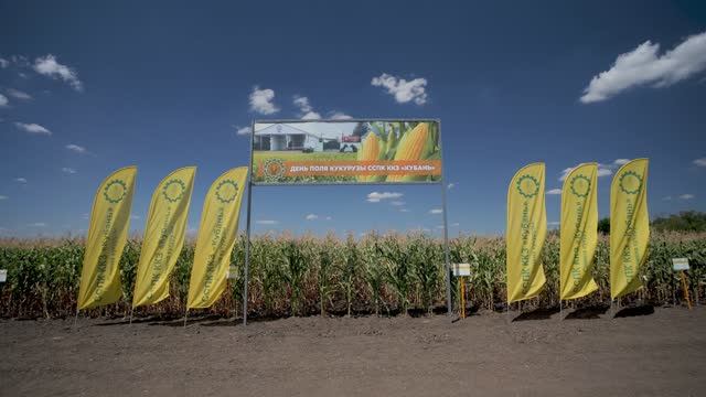 Управление урожаем кукурузы! смотреть онлайн