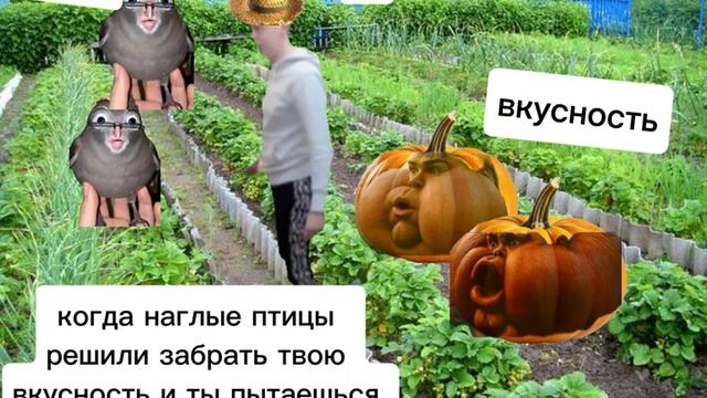 Пов: я на каникулах: смотреть онлайн
