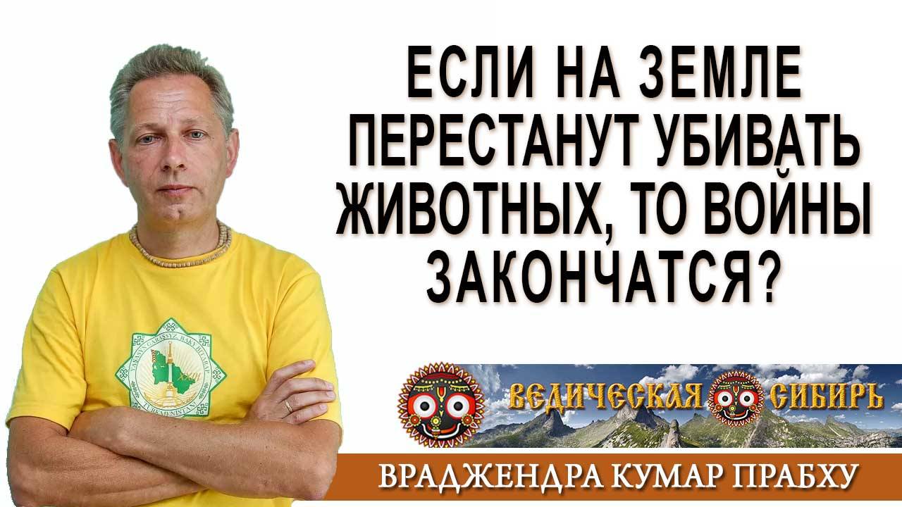 Если на Земле перестанут убивать животных, то войны закончатся? смотреть онлайн