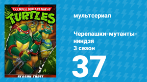 Черепашки-мутанты-ниндзя 3 сезон 37 серия (мультсериал, 1989)
