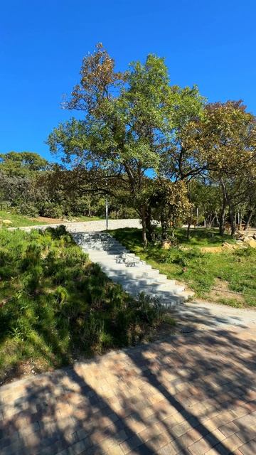 Крым 2025 Милютинский парк сегодня. Новое пространство в Алупке #алупка #отдыхвалупке #алупкасегодня смотреть онлайн