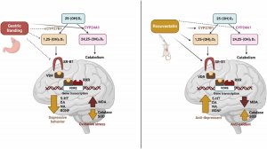 Розувастатин против депрессии?