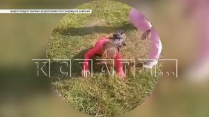 12 летние девочки обворовывают квартиры, избивают детей, но их не могут привлечь к ответственности