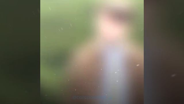 Эдит про компота смотреть онлайн