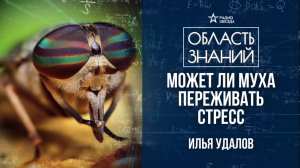 Есть ли у насекомых разум? Лекция биолога Ильи Удалова