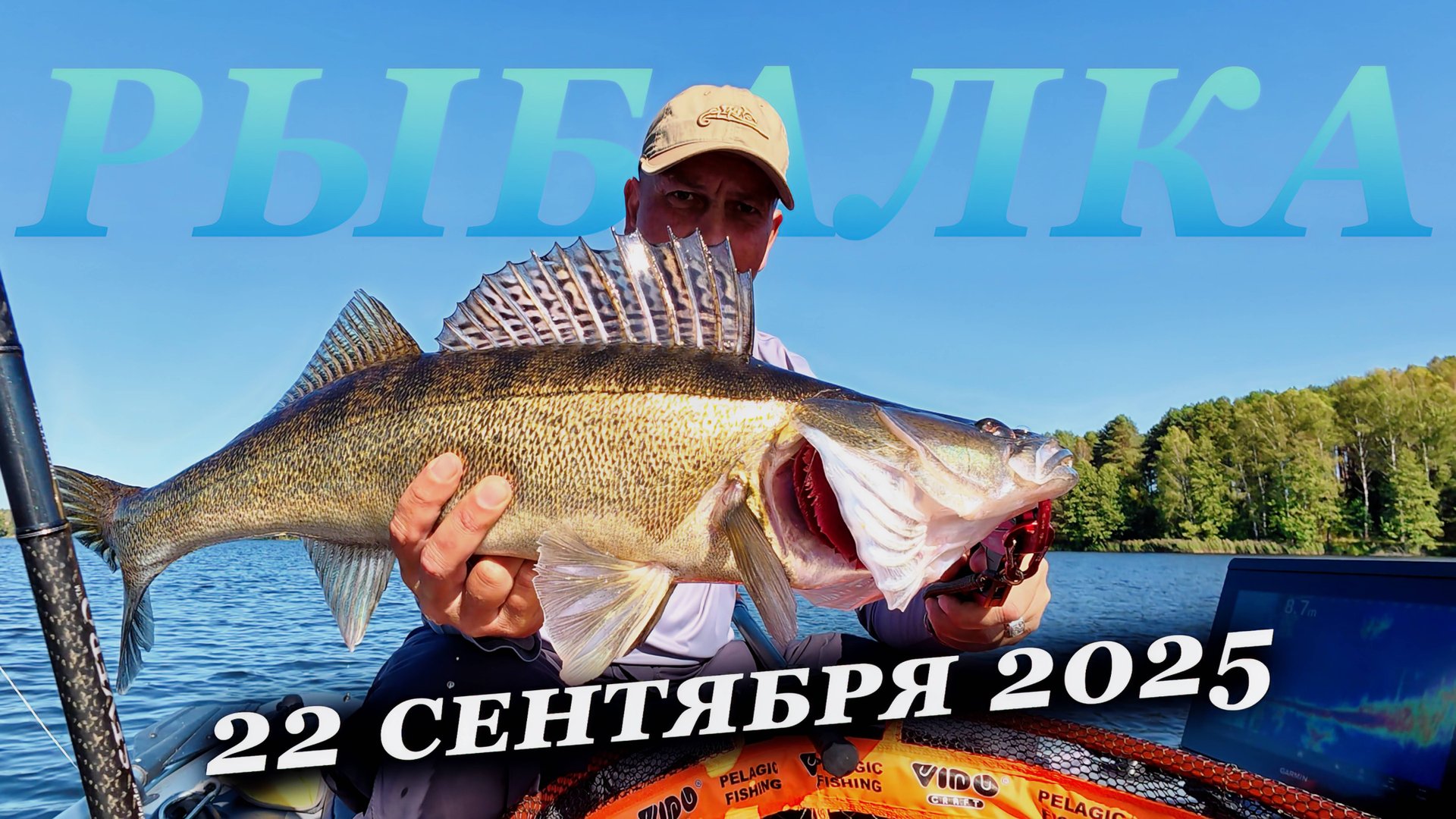 Кидай кидай, их тут много. Рыбалка на судака в сентябре 2025 смотреть онлайн