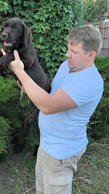 ⚜️DIONIS PRIDE⚜️
#dionis_pride
#питомниксобак