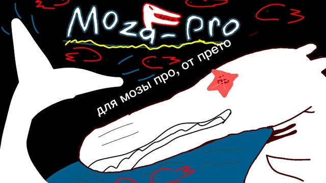 для Moza-Pro
