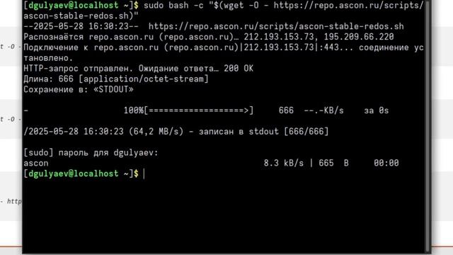 Подключение репозитория АСКОН на Linux смотреть онлайн