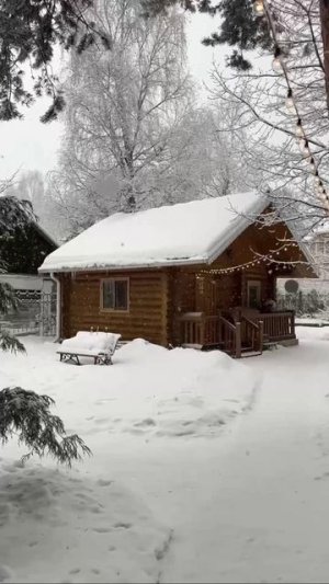 Новогоднее настроение 🥰🎄