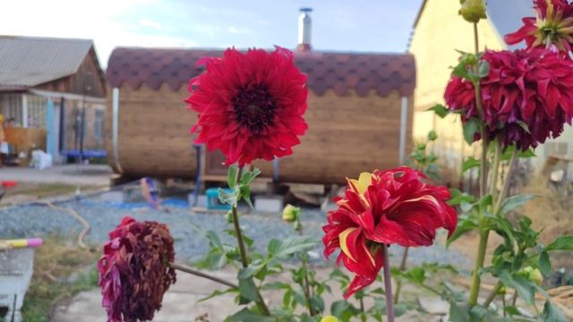 Осенний сад. Дачный сезон подходит к концу. смотреть онлайн