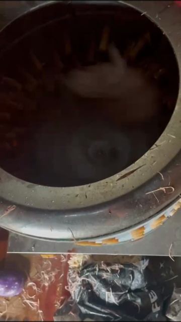 убираем птицу