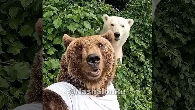 Ии видео🔥 смотреть онлайн