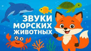 Кто как звучит? Морские животные и их голоса