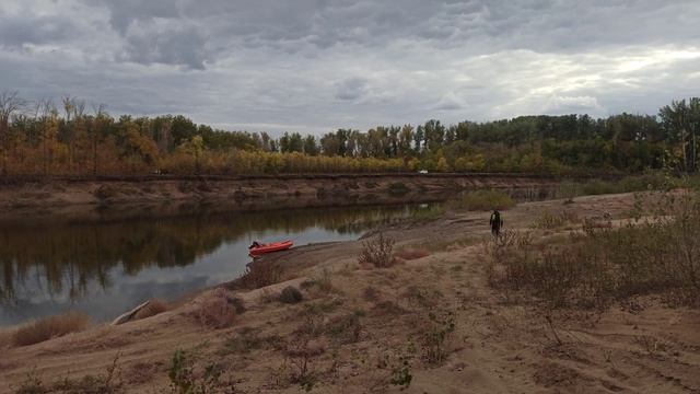 Лиса, Урал, Солар, Тояма 9,9