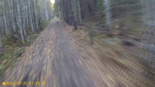 Велопрогулка Димасика ЕКБ Таватуй 110км 22 09 25