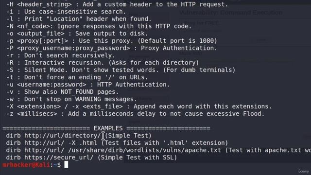 88. Сбор информации и инструмент Dirb смотреть онлайн