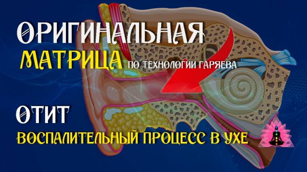 Отит среднего уха ⚠️ Оригинальная программа матрица по технологии Гаряева ☀️ SoftRadio.ru